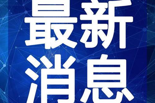 泰安猛姐爆料视频最新,揭秘惊人内幕，引发社会热议  第1张
